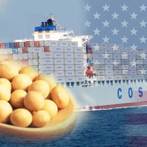 中国宁可从美国买“转基因大豆”，也不从俄罗斯进口？这是为何？